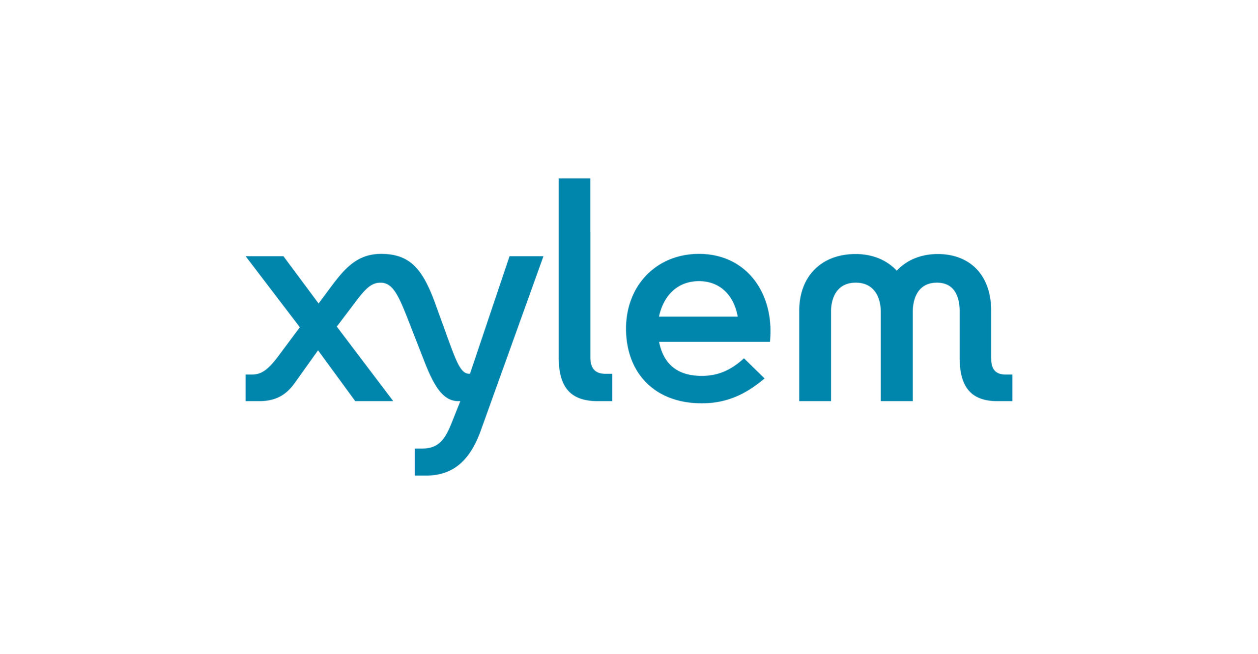 Xylem